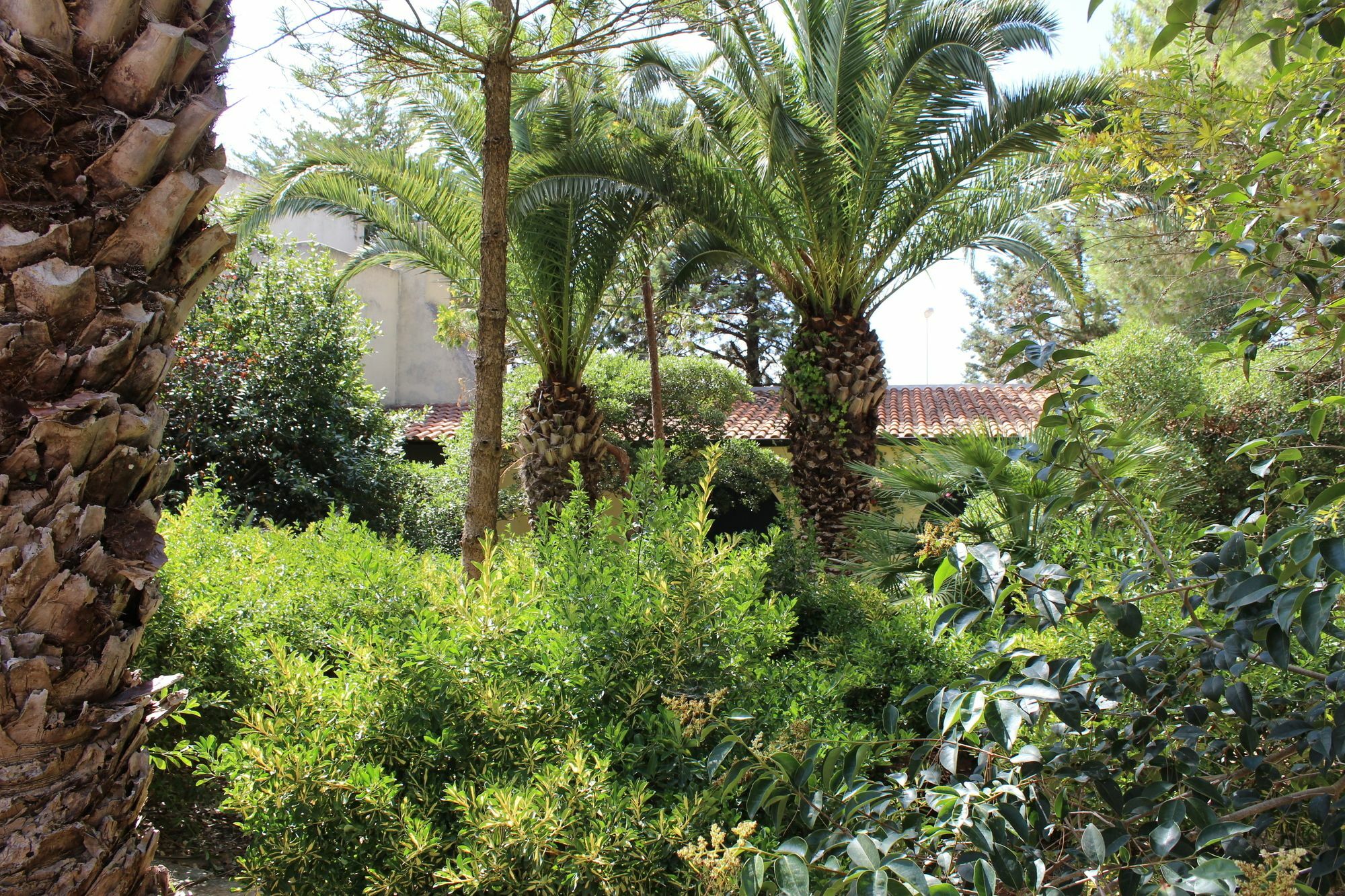 Masseria Pagani Nardo Luaran gambar
